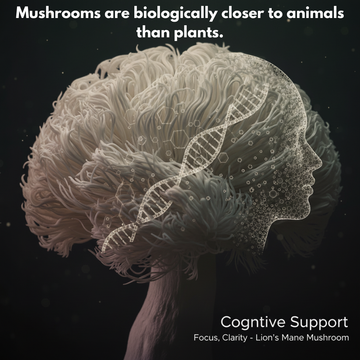 Did You Know Mushrooms Are Closer to Animals Than Plants?