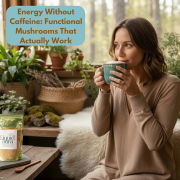 Energy Without Caffeine: Functional Mushrooms That Actually Work
