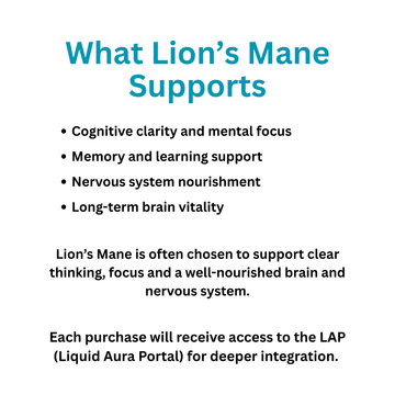 Lions Mane Mushroom Powder