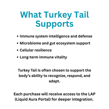 Turkey Tail Mushroom Powder
